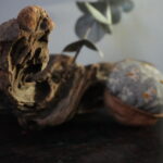 pincushion-walnut_01