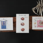 postcard_3piece-set